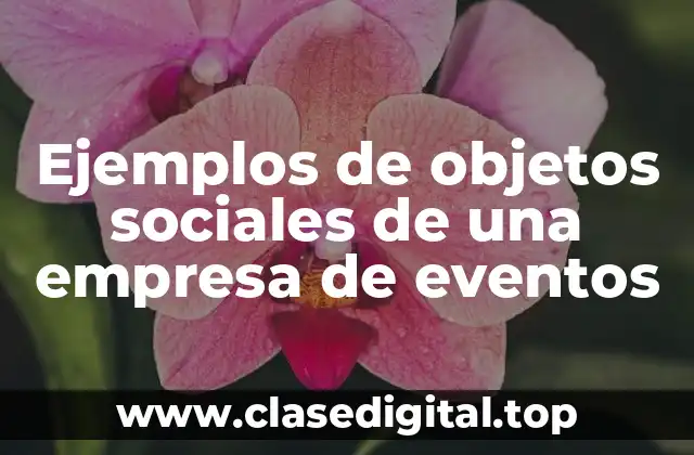 Ejemplos de objetos sociales de una empresa de eventos