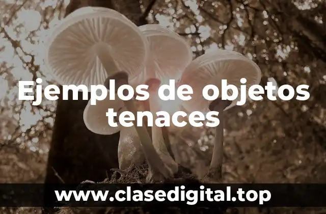 Ejemplos de objetos tenaces