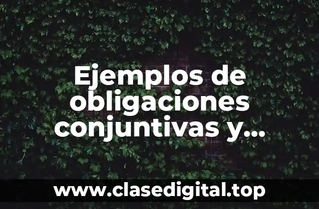 Ejemplos de obligaciones conjuntivas y Significado