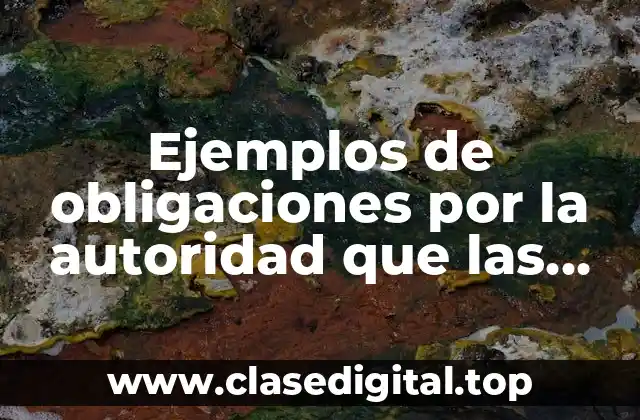 Ejemplos de obligaciones por la autoridad que las sanciona