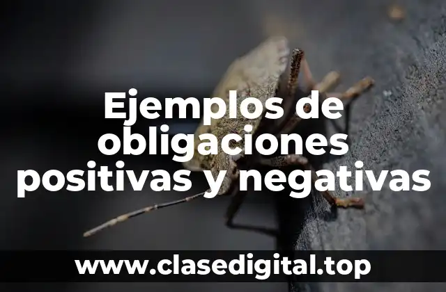 Ejemplos de obligaciones positivas y negativas