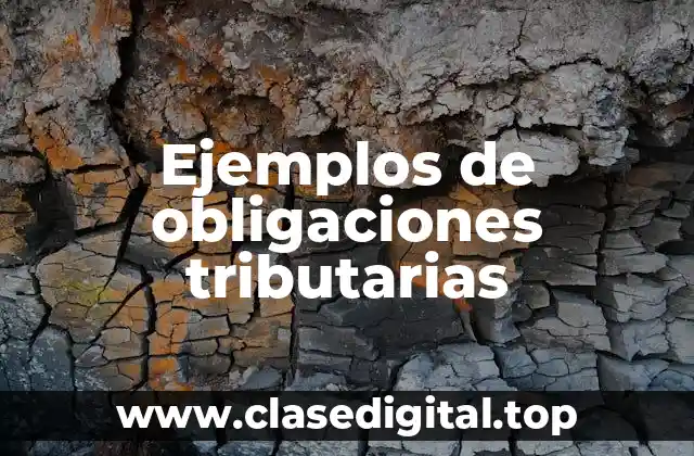 Ejemplos de obligaciones tributarias