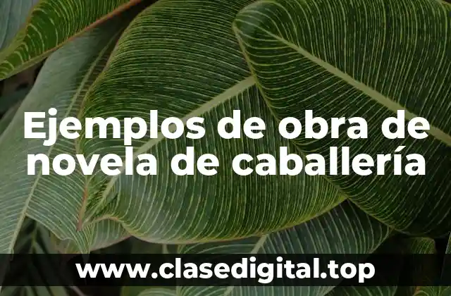Ejemplos de obra de novela de caballería