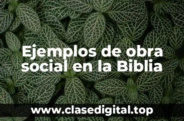 Ejemplos de obra social en la Biblia