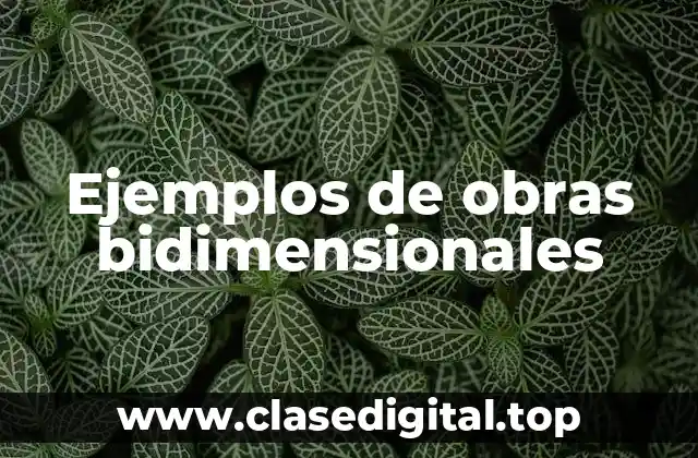 Ejemplos de obras bidimensionales