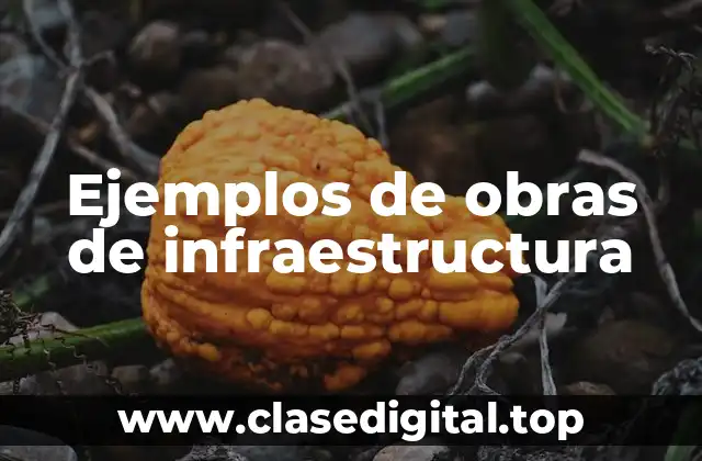 Ejemplos de obras de infraestructura