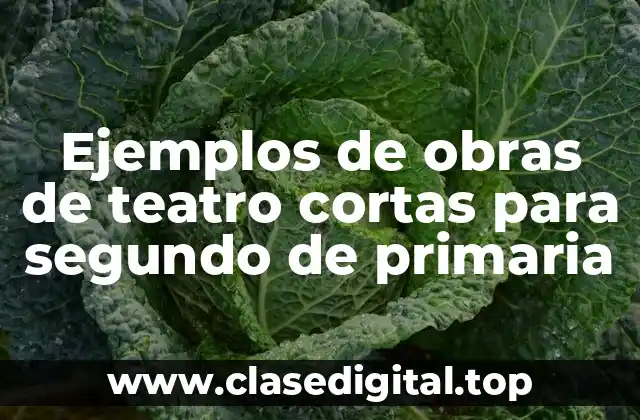 Ejemplos de obras de teatro cortas para segundo de primaria