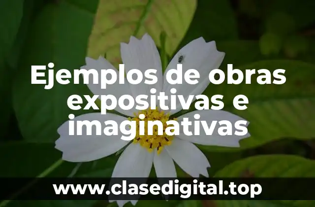 Ejemplos de obras expositivas e imaginativas