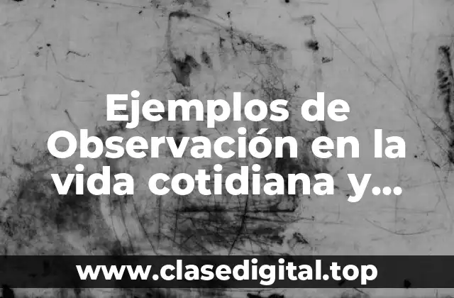 Ejemplos de Observación en la vida cotidiana