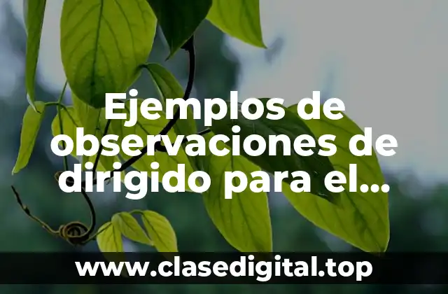 Ejemplos de observaciones de dirigido para el padre de familia