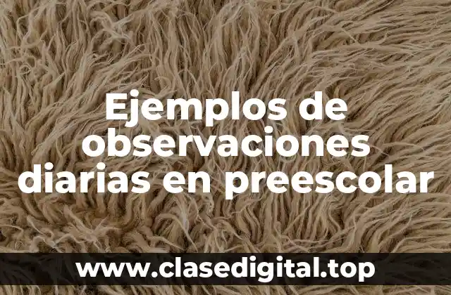 Ejemplos de observaciones diarias en preescolar