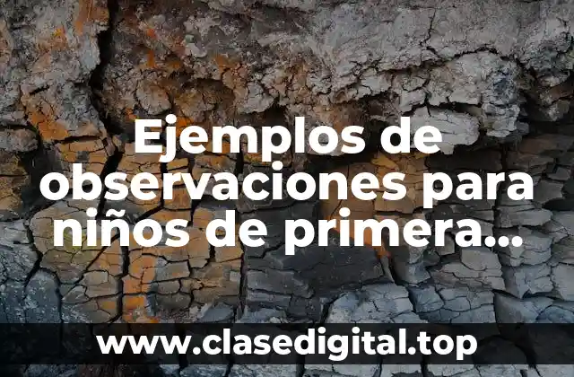 Ejemplos de observaciones para niños de primera infancia