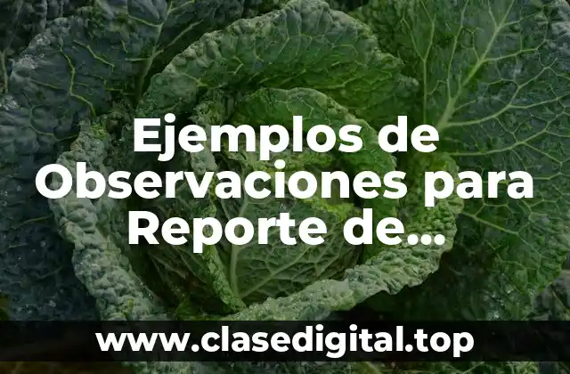 Ejemplos de Observaciones para Reporte de Evaluación Primaria Sexto Grado