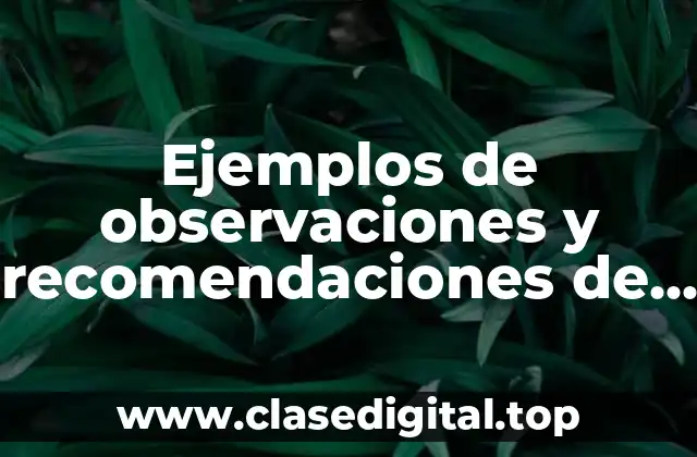 Ejemplos de observaciones y recomendaciones de reportes para primaria