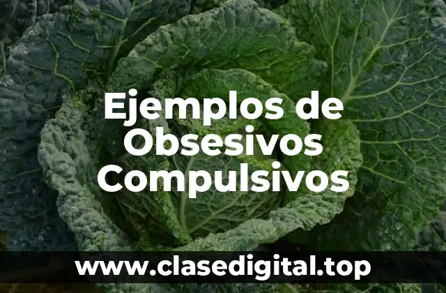 Ejemplos de Obsesivos Compulsivos