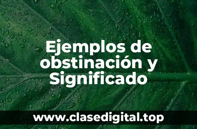 Ejemplos de obstinación y Significado