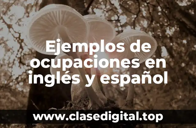 Ejemplos de ocupaciones en inglés y español