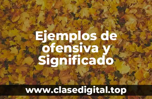 Ejemplos de ofensiva y Significado