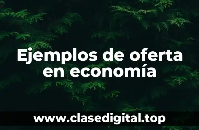Ejemplos de oferta en economía