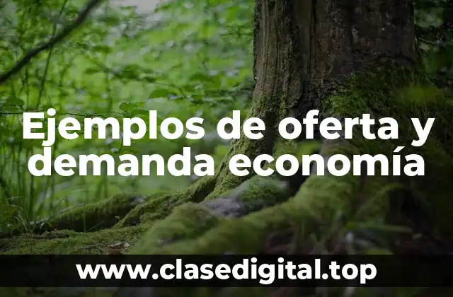 Ejemplos de oferta y demanda economía