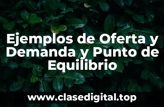 Ejemplos de Oferta y Demanda y Punto de Equilibrio