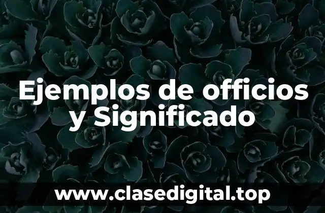 Ejemplos de officios y Significado
