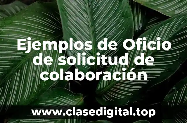 Ejemplos de Oficio de solicitud de colaboración