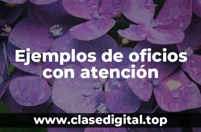 Ejemplos de oficios con atención