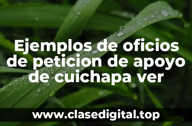 Ejemplos de oficios de peticion de apoyo de cuichapa ver