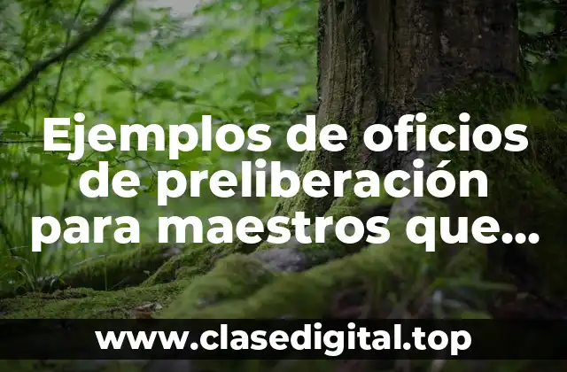 Ejemplos de oficios de preliberación para maestros que se jubilan