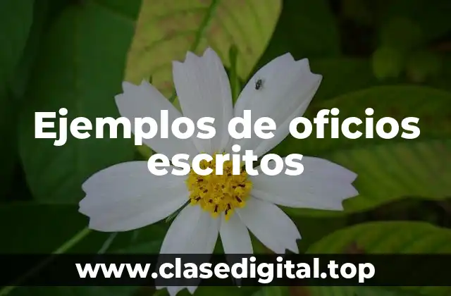 Ejemplos de oficios escritos