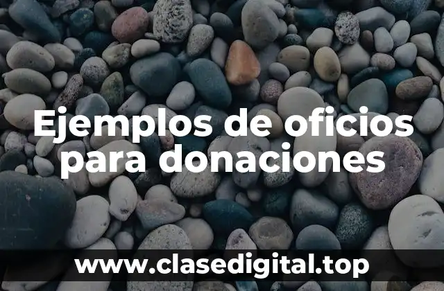 Ejemplos de oficios para donaciones