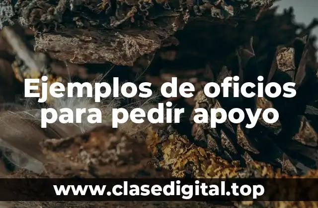 Ejemplos de oficios para pedir apoyo
