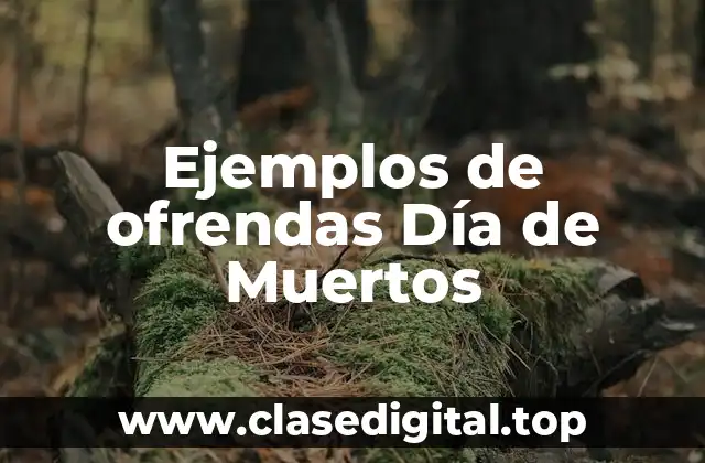 Ejemplos de ofrendas Día de Muertos