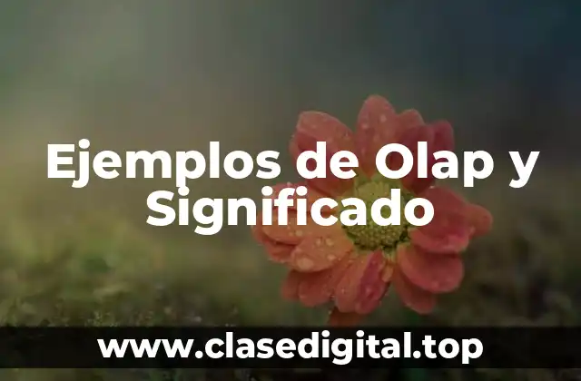 Ejemplos de Olap y Significado