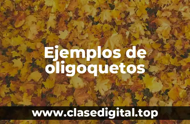 Ejemplos de oligoquetos