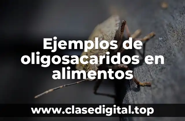 Ejemplos de oligosacaridos en alimentos