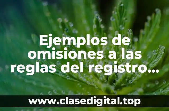 Ejemplos de omisiones a las reglas del registro contable