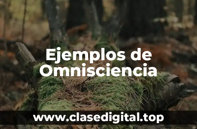 Ejemplos de Omnisciencia
