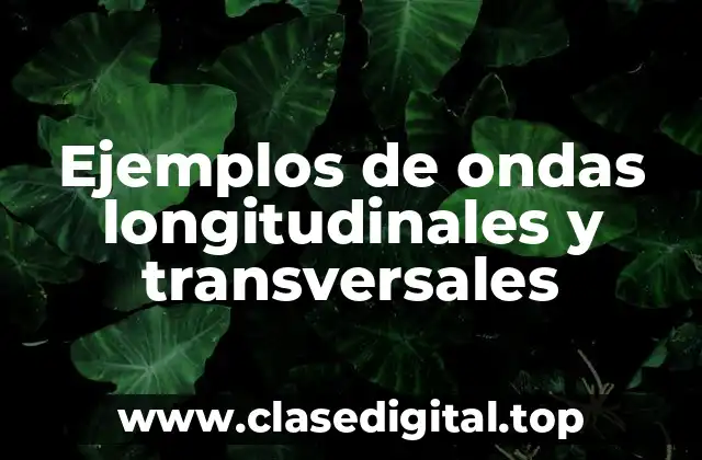 Ejemplos de ondas longitudinales y transversales