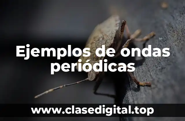 Ejemplos de ondas periódicas