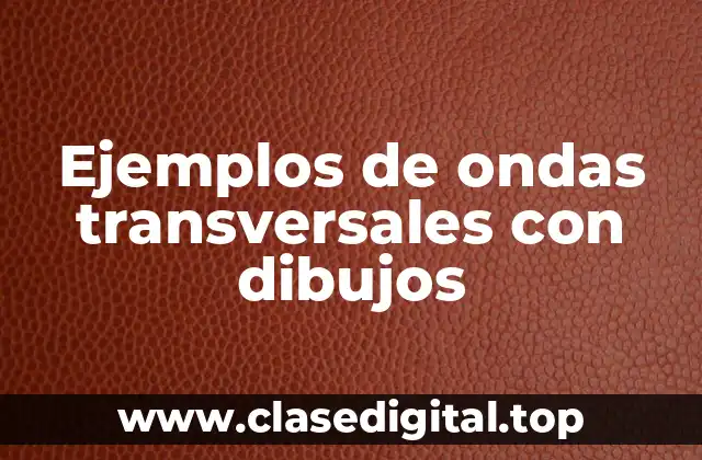 Ejemplos de ondas transversales con dibujos