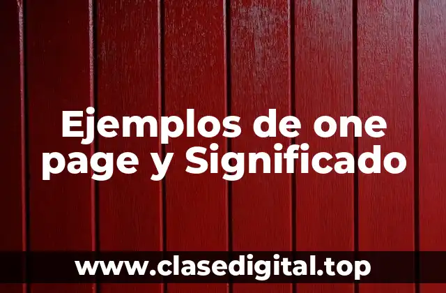 Ejemplos de one page y Significado