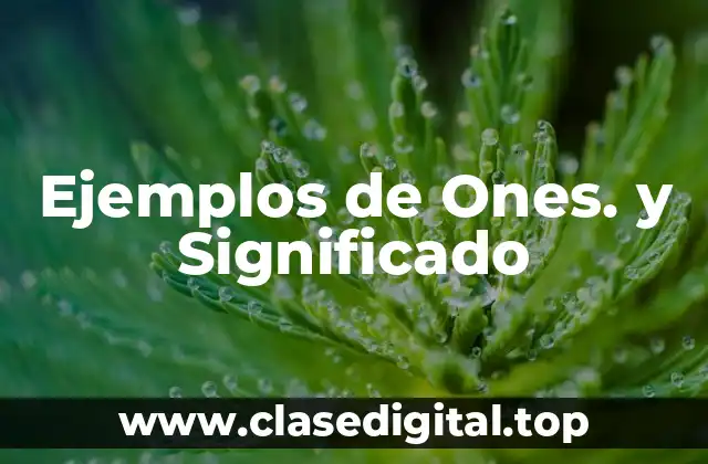 Ejemplos de Ones. y Significado