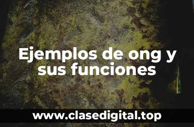 Ejemplos de ong y sus funciones