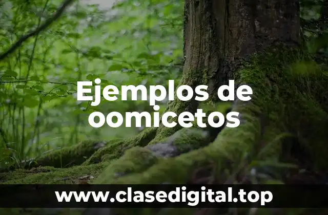 Ejemplos de oomicetos