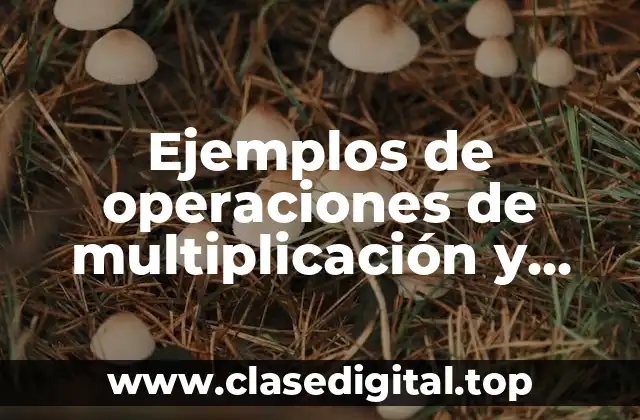 Ejemplos de operaciones de multiplicación y división