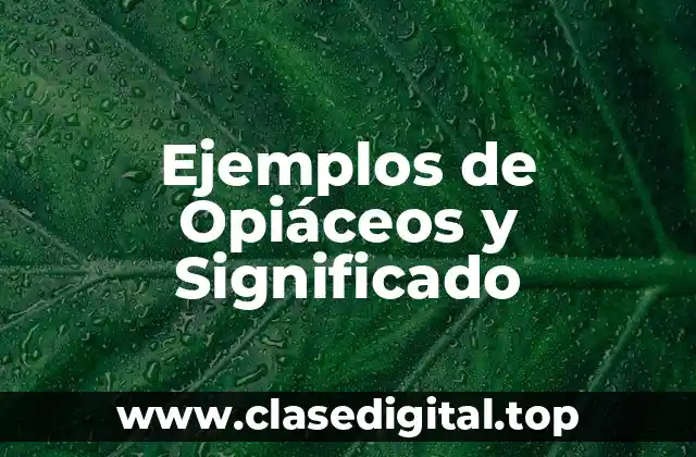 Ejemplos de Opiáceos y Significado