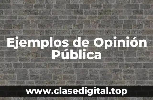 Ejemplos de Opinión Pública