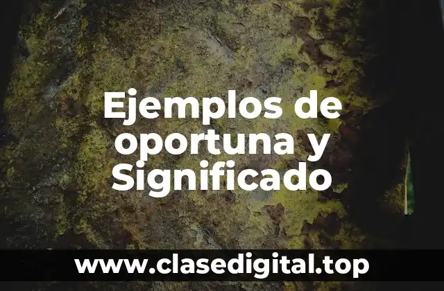 Ejemplos de oportuna y Significado